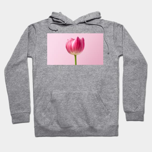 Pink Tulip Hoodie by NewburyBoutique